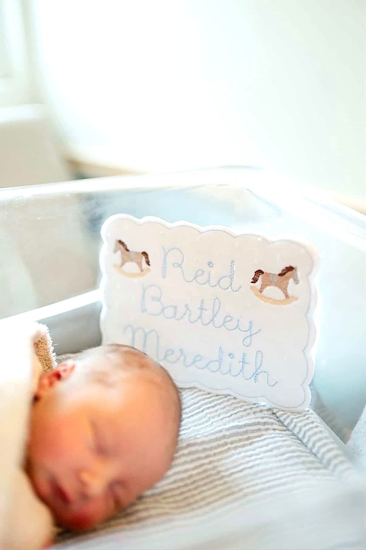 Rocking horse name announcement banner