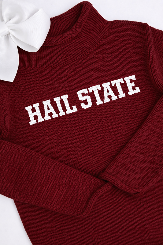 Hail state knit sweater